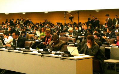 Control Arms & NGO’s address Negotiators