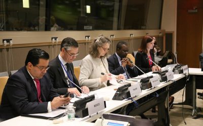 Renewed Activites on ATT at UN First Committee