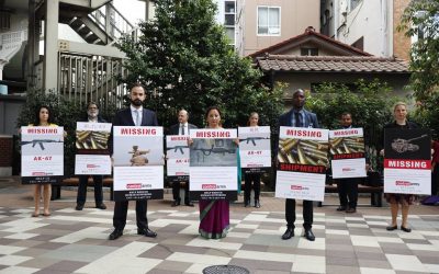 Missing – Have You Seen These Weapons?