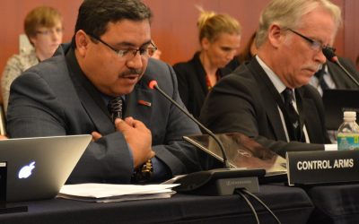 Mexico takes lead on next stage of treaty implementation